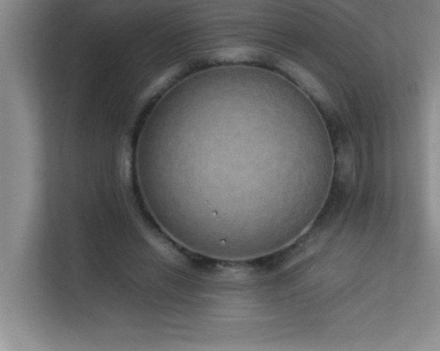 X0000113910446200909241513