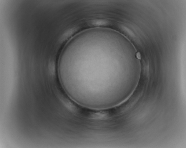 X0000113910447200909241513