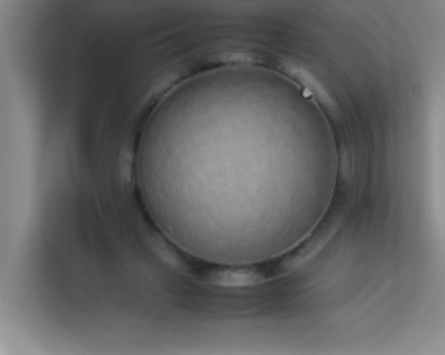X0000113910449200909241513