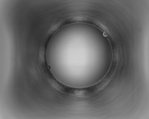 X0000113910450200909241513