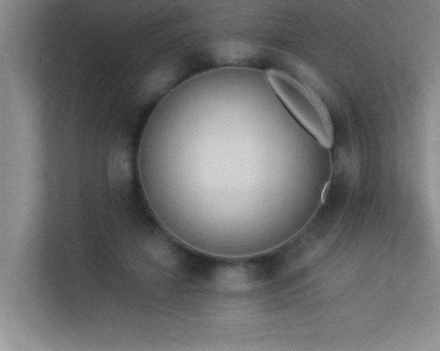 X0000113910452200909241513