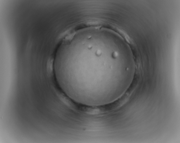 X0000113910454200909241513