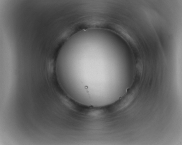 X0000113910458200909241513