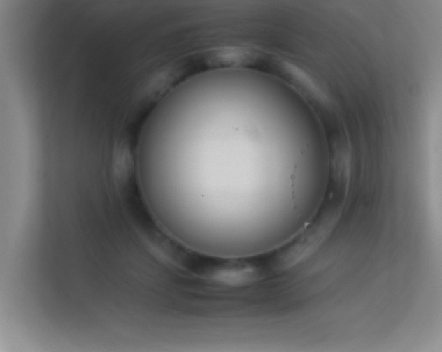 X0000113910459200909241513
