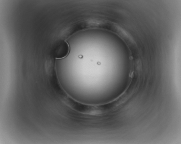 X0000113910463200909241513