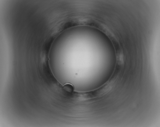X0000113910472200909241513