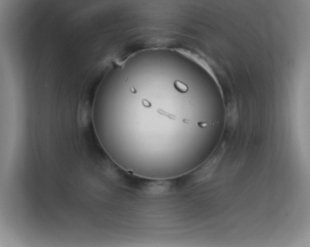 X0000113910474200909241513