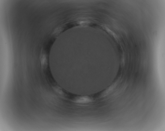 X0000113910475200909241513