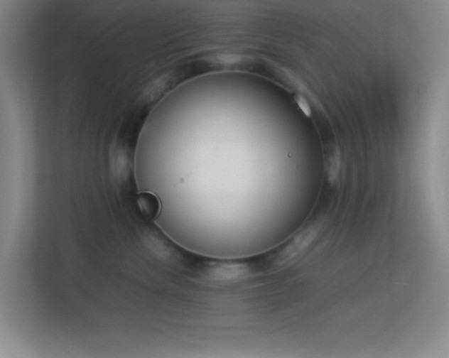 X0000113910476200909241513