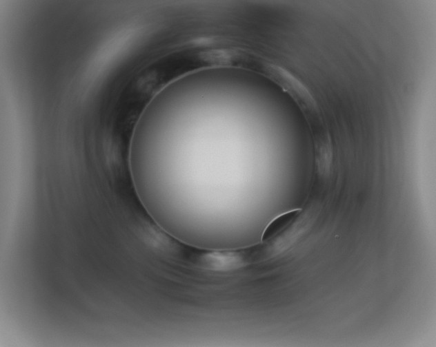 X0000113910477200909241513