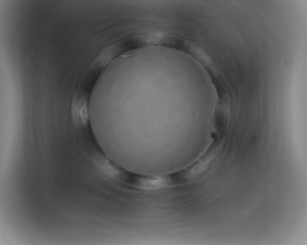 X0000113910479200909241513