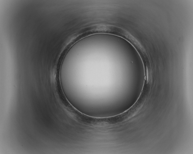 X0000113910483200909241512