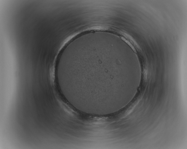 X0000113910484200909241512