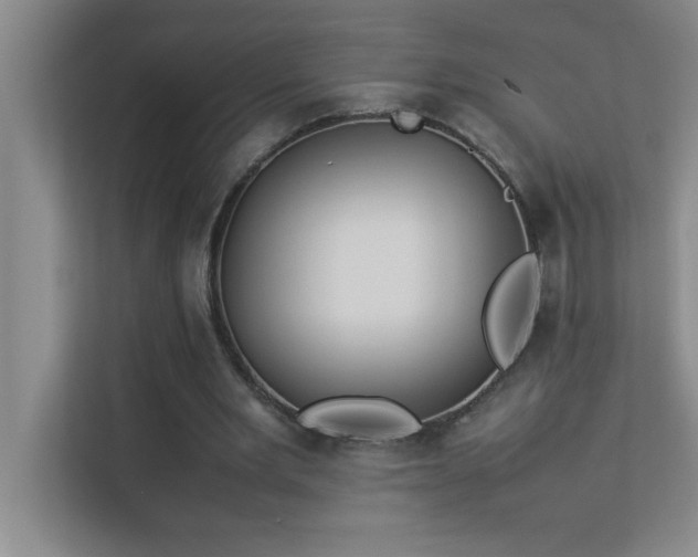 X0000113910485200909241512