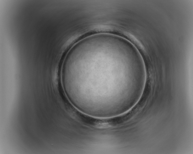 X0000113910487200909241512