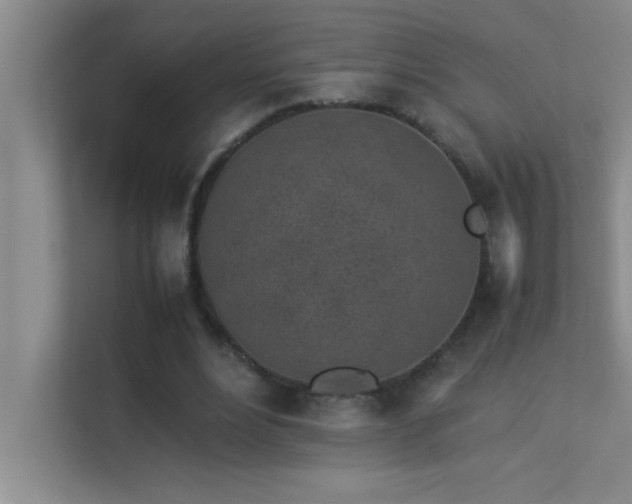 X0000113910488200909241512