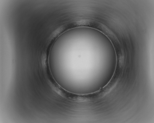 X0000113910490200909241512