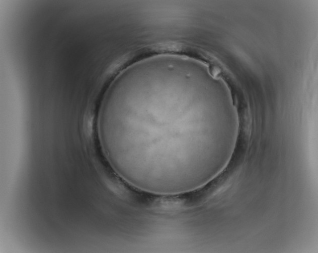 X0000113910491200909241512