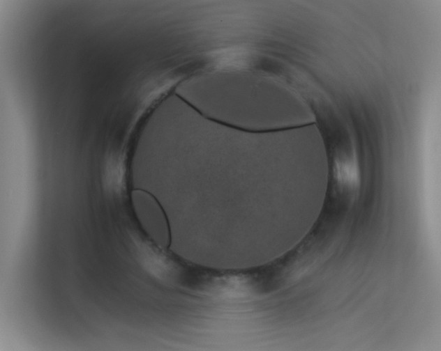 X0000113910492200909241512