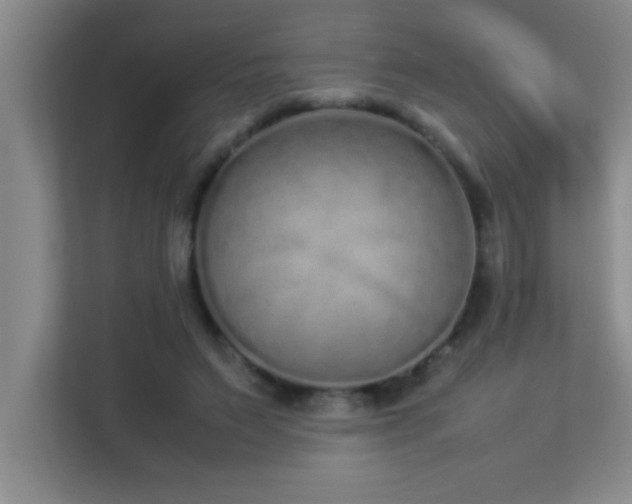X0000113910495200909241512