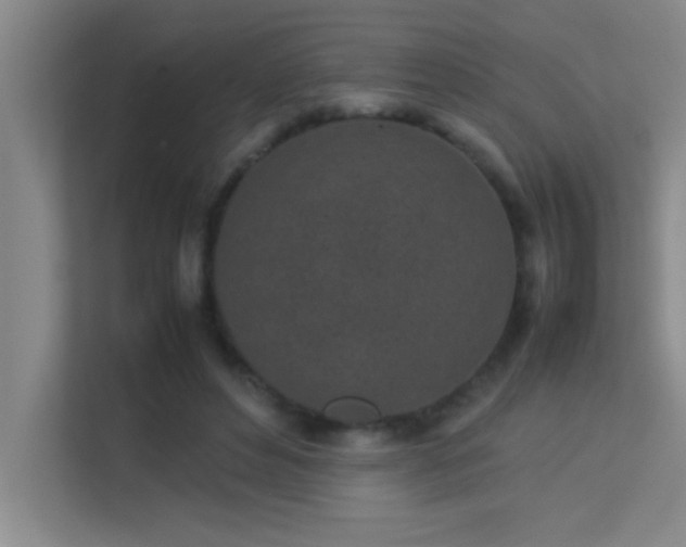 X0000113910496200909241512