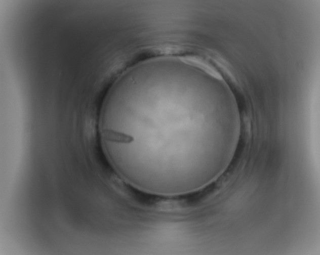 X0000113910499200909241512