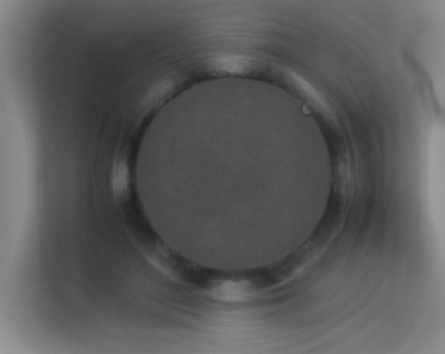 X0000113910500200909241512