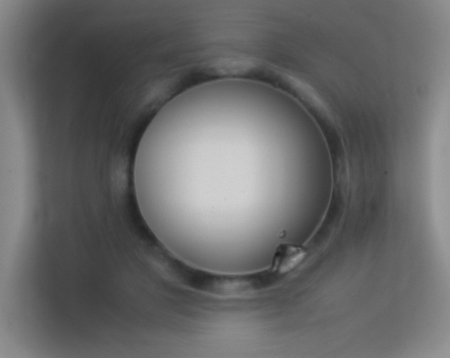 X0000113910501200909241512