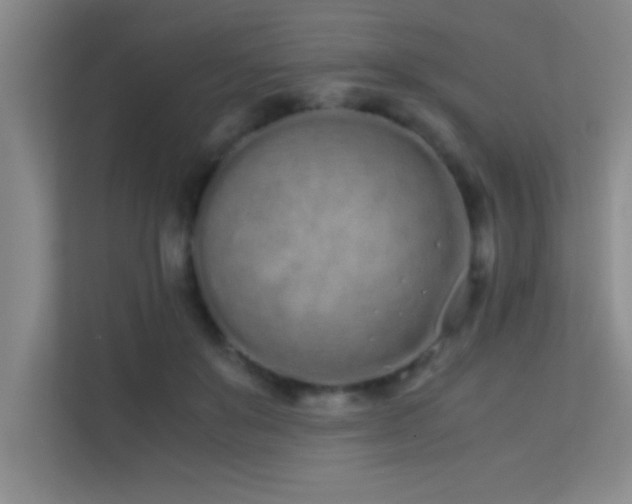 X0000113910503200909241512