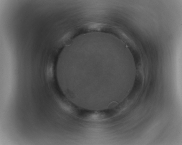 X0000113910504200909241512