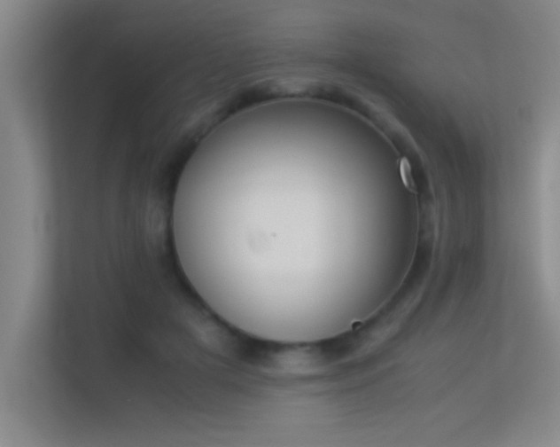 X0000113910505200909241512