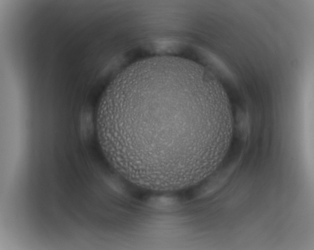 X0000113910506200909241512
