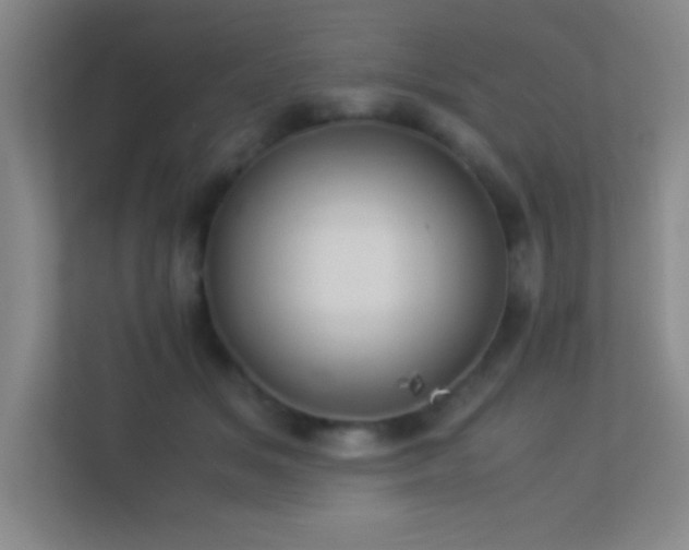 X0000113910509200909241512