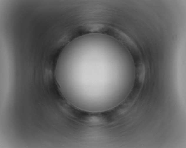X0000113910510200909241512