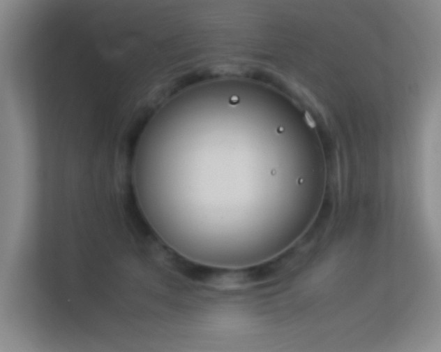 X0000113910513200909241512