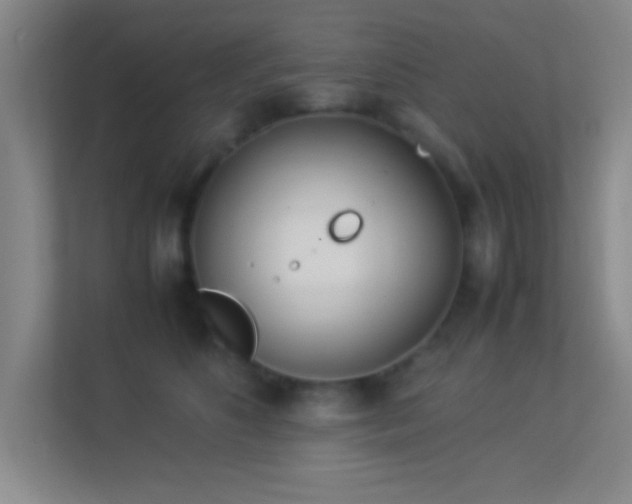 X0000113910516200909241512
