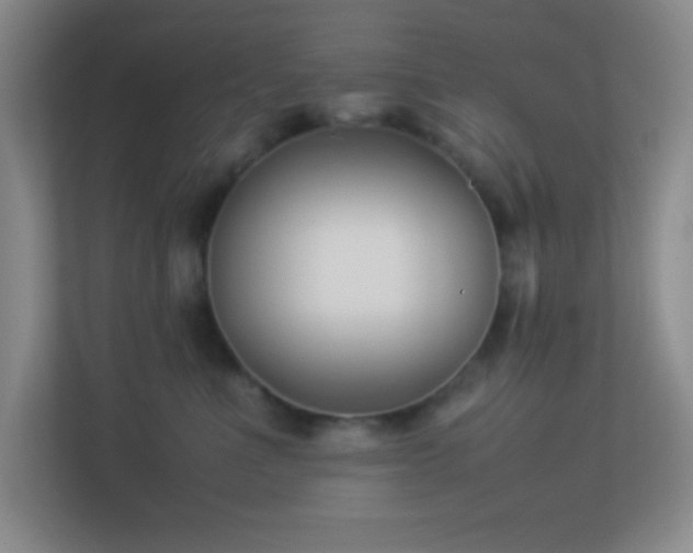 X0000113910523200909241512