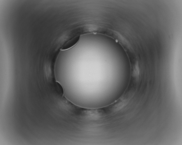 X0000113910524200909241512