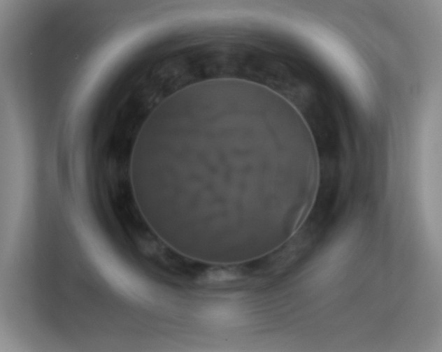 X0000113910526200909241512