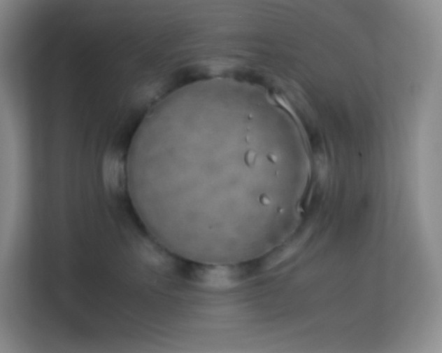 X0000113910527200909241512