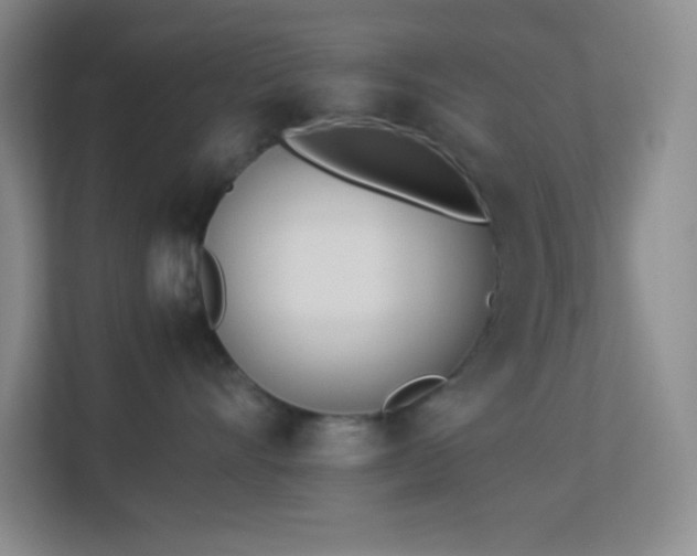 X0000113910528200909241512