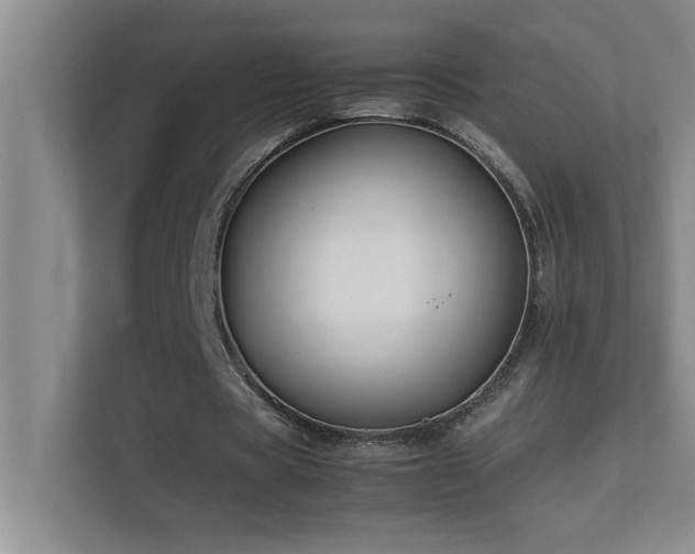 X0000113910529200909241511