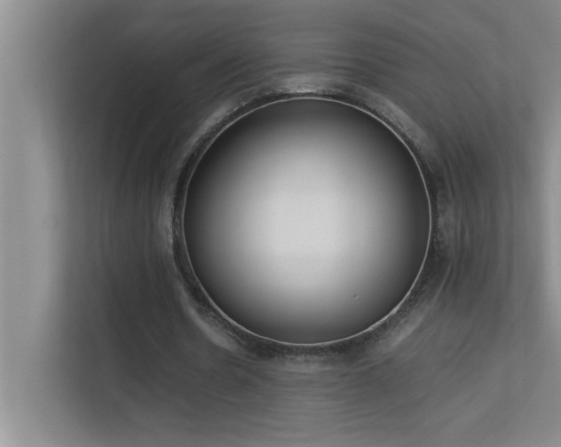 X0000113910530200909241511