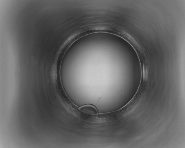 X0000113910531200909241511