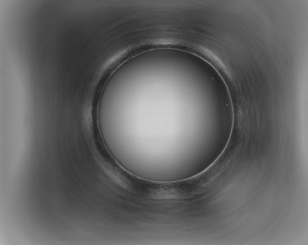 X0000113910535200909241511