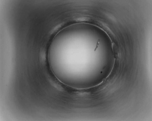 X0000113910539200909241511