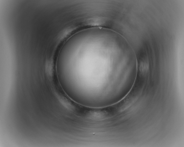 X0000113910540200909241511