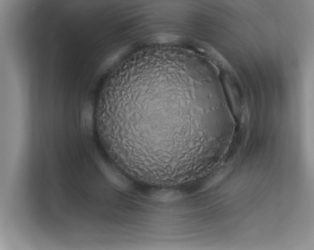 X0000113910542200909241511