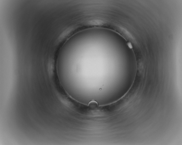 X0000113910544200909241511