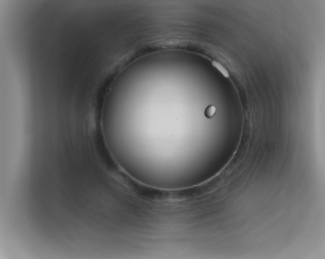 X0000113910546200909241511